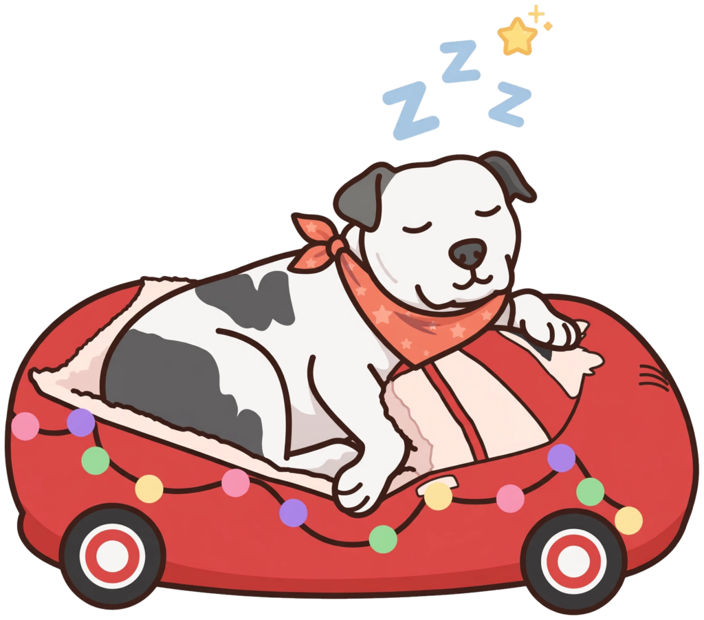 DoraGrid Scene Car Bed