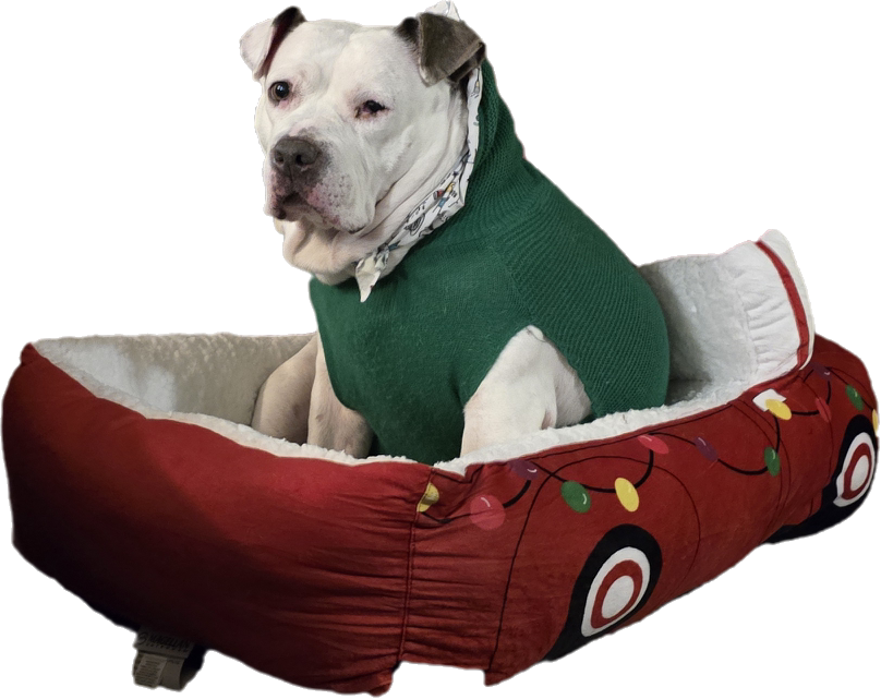 Dora in green sweater